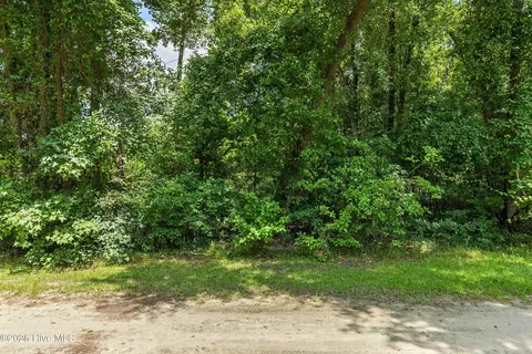 12 Ac Turtle Hill Trl, Willard, NC 28478 photo 18