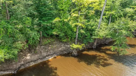 12 Ac Turtle Hill Trl, Willard, NC 28478 photo 9