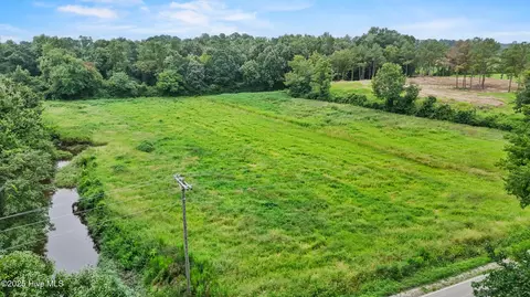 0 Coras Grove Rd, Willard, NC 28478 photo 7