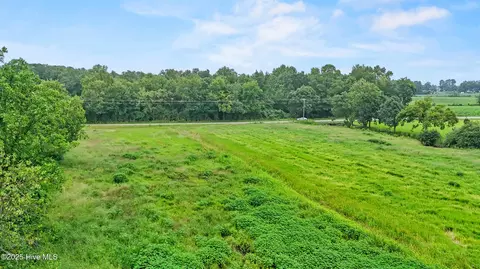 0 Coras Grove Rd, Willard, NC 28478 photo 9
