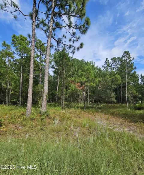 0000 Hines Stump Sound Church Rd, Holly Ridge, NC 28445