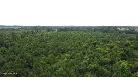 0 E Darden Rd, Faison, NC 28341 photo 6
