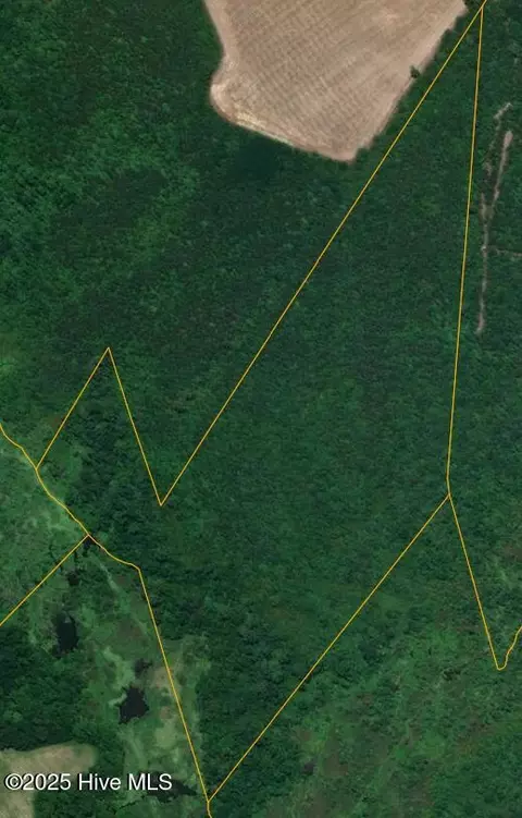 0 E Darden Rd, Faison, NC 28341