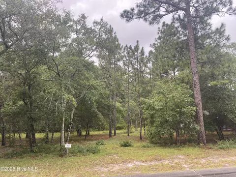 3603 Concordia Ave SW, Supply, NC 28462 photo 3