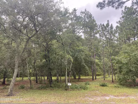 3603 Concordia Ave SW, Supply, NC 28462 photo 2