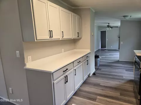 288 Lanier Ave, Rocky Point, NC 28457 photo 8