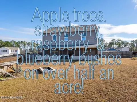 67 Fresh Air Dr, Hampstead, NC 28443 photo 4