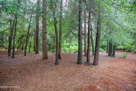 Other - 370 Fairway Ct, Pinehurst, NC 28374 photo 2 of 8