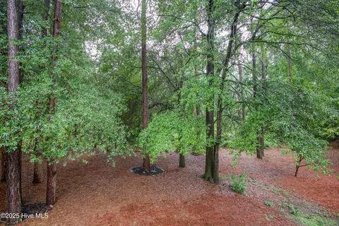 Other - 370 Fairway Ct, Pinehurst, NC 28374 photo 6 of 8