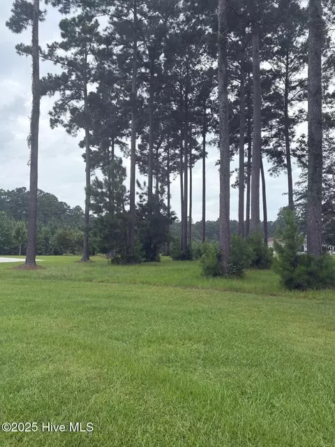2808 Waterleaf Pt, New Bern, NC 28562