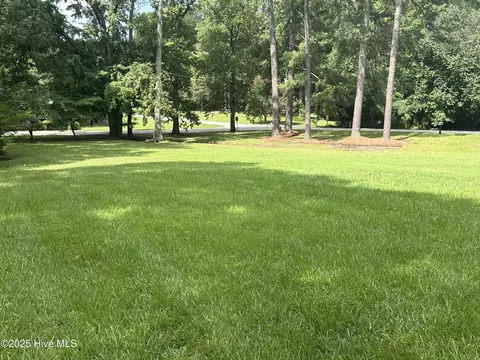 Exterior - 212 Mclean St, Spring Hope, NC 27882 photo 13 of 20