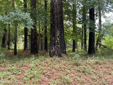 0 Croomsbridge Rd, Burgaw, NC 28425
