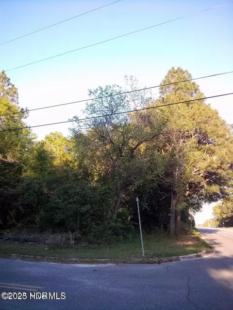 tbd Hwy 74 E, Hamlet, NC 28345 photo 4