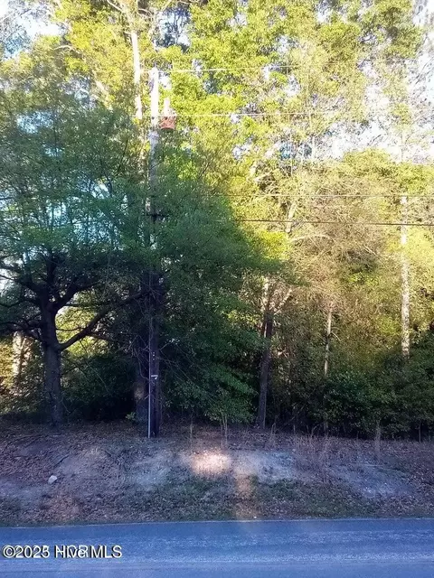 tbd Hwy 74 E, Hamlet, NC 28345 photo 6