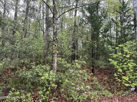 679 Westwind Dr SW, Supply, NC 28462 photo 2