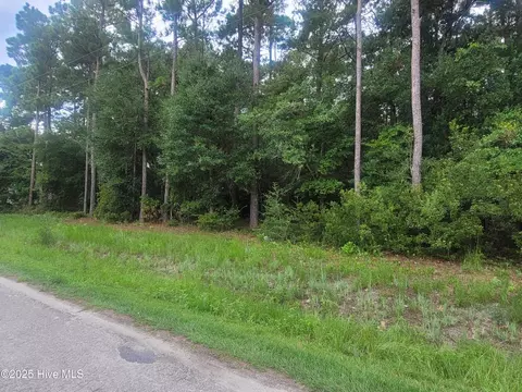 2820 Paul Andrew St SW, Supply, NC 28462