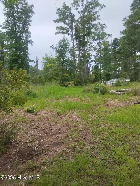 00 Donnie Davis Rd, Williston, NC 28579 photo 9