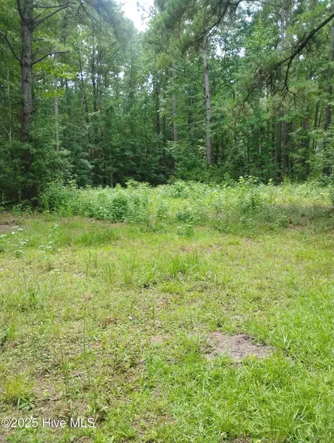 00 Donnie Davis Rd, Williston, NC 28579 photo 12