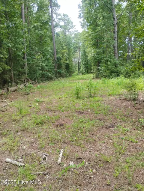 00 Donnie Davis Rd, Williston, NC 28579 photo 7