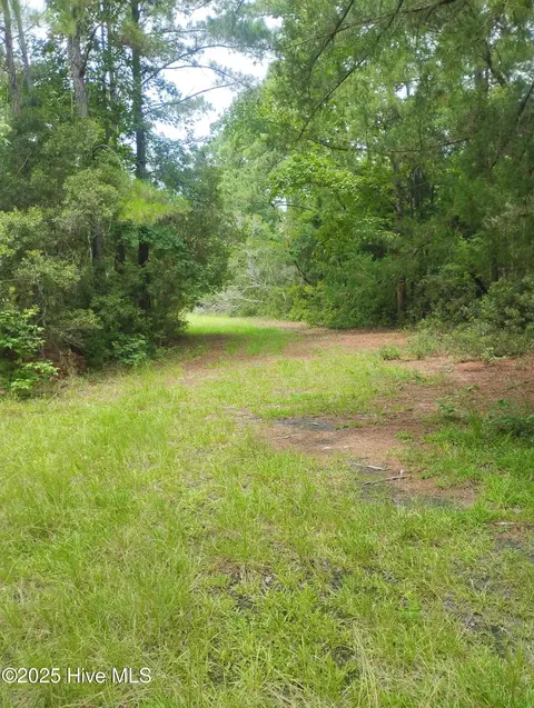 00 Donnie Davis Rd, Williston, NC 28579 photo 11