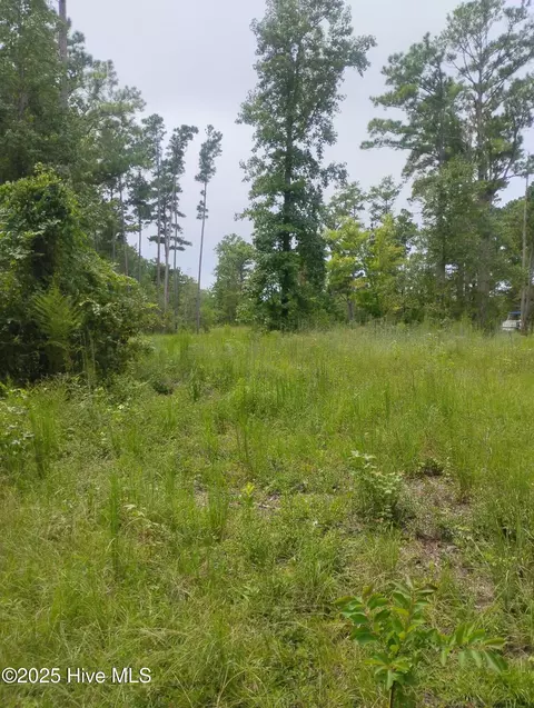 00 Donnie Davis Rd, Williston, NC 28579 photo 10