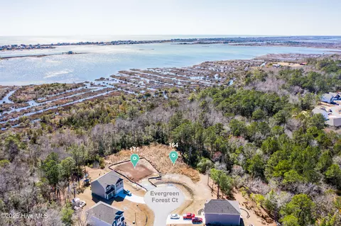 171 Evergreen Forest Ct, Sneads Ferry, NC 28460