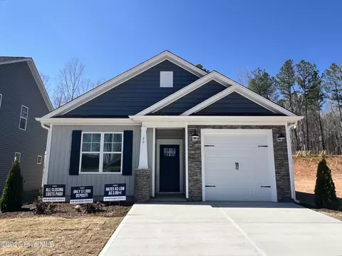 20 S Mistflower St, Clayton, NC 27520