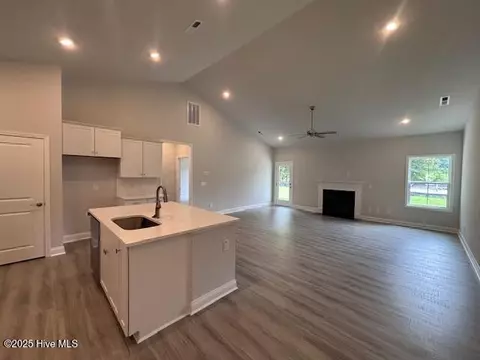 174 Cherry Laurel Dr, Wallace, NC 28466 photo 6