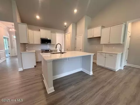 174 Cherry Laurel Dr, Wallace, NC 28466 photo 7