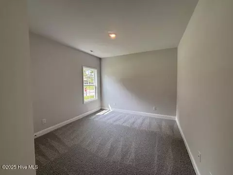 174 Cherry Laurel Dr, Wallace, NC 28466 photo 17