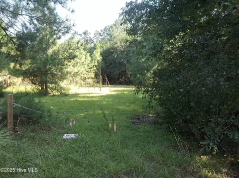 0 Morgan Rd, Candor, NC 27229