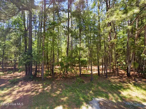 0 Beulah Hill Church Rd, West End, NC 27376