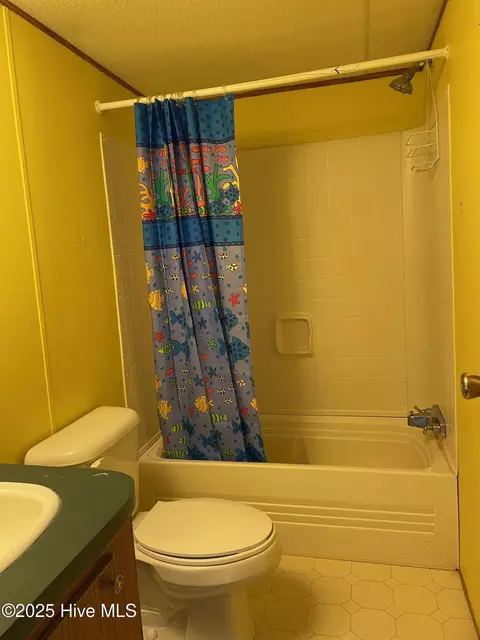 Bath - 108 Conch Ct, Gloucester, NC 28528 photo 1 of 3
