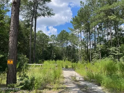 00 Us Highway 421, Currie, NC 28435