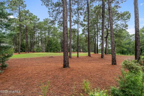Exterior - 16 Mulbren Ct, Pinehurst, NC 28374 photo 4 of 9