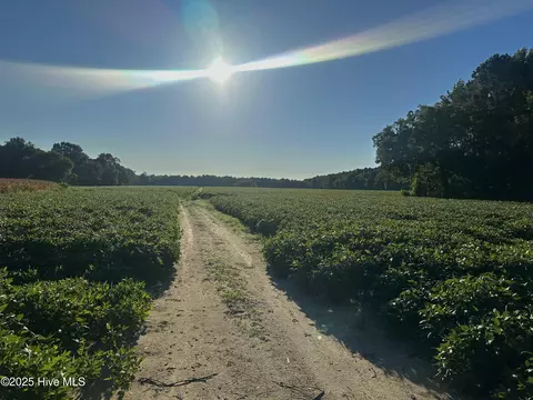 5355 Creech Rd, Lucama, NC 27851