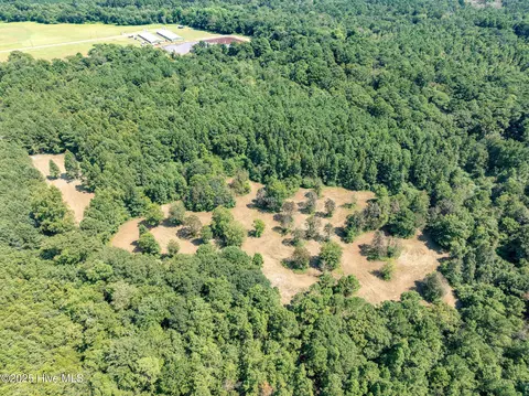 tbd Carrtown Dr, Greenevers, NC 28458 photo 7