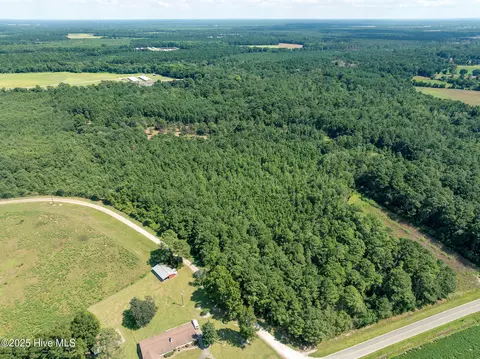 tbd Carrtown Dr, Greenevers, NC 28458 photo 8