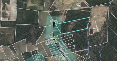 tbd Carrtown Dr, Greenevers, NC 28458 photo 9