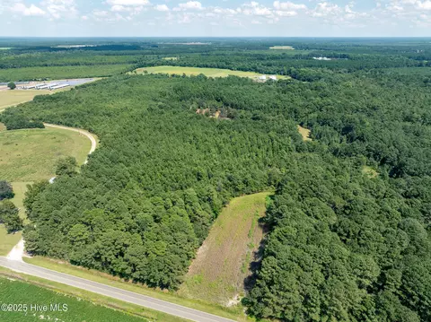 tbd Carrtown Dr, Greenevers, NC 28458 photo 2