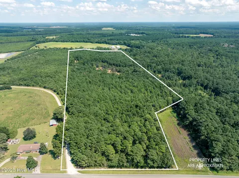 tbd Carrtown Dr, Greenevers, NC 28458