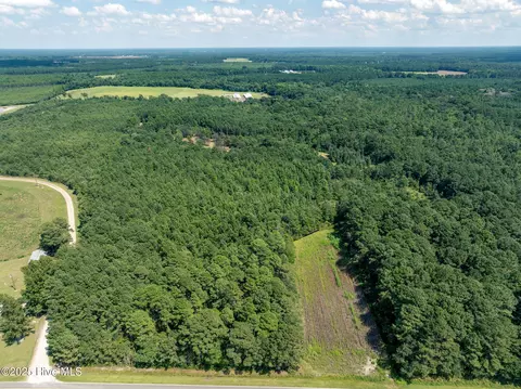 tbd Carrtown Dr, Greenevers, NC 28458 photo 3