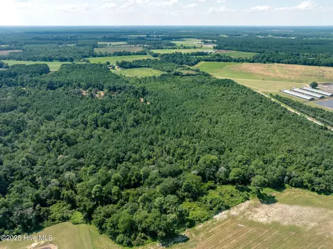 tbd Carrtown Dr, Greenevers, NC 28458 photo 4