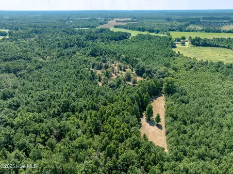 tbd Carrtown Dr, Greenevers, NC 28458 photo 6