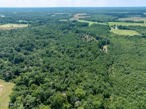 tbd Carrtown Dr, Greenevers, NC 28458 photo 5