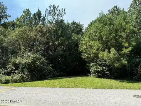 230 Kings Creek Xing, Holly Ridge, NC 28445
