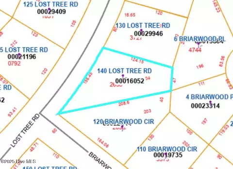 Other - 140 Lost Tree Rd, Pinehurst, NC 28374 photo 4 of 5
