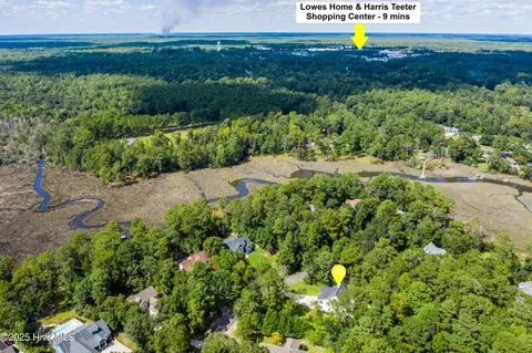View/Area - 118 Canvasback Pt, Hampstead, NC 28443 photo 3 of 6