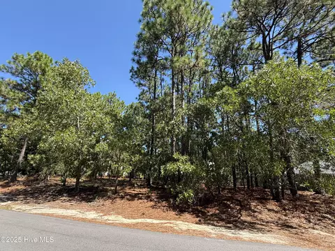 5 Fur Ct W, Pinehurst, NC 28374 photo 3