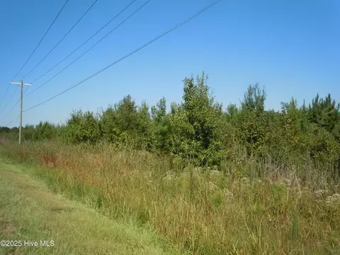 tbd Near 10807 Andrew Jackson Hwy, Fair Bluff, NC 28439